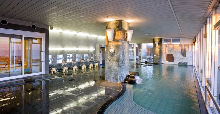 Imagen general del Hotel Mikawa Bay Hills. Foto 5
