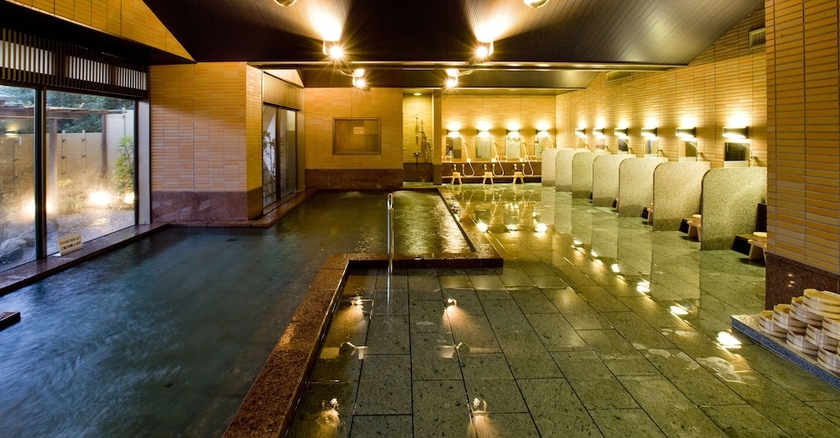 Imagen general del Hotel Mikawa Bay Hills. Foto 6