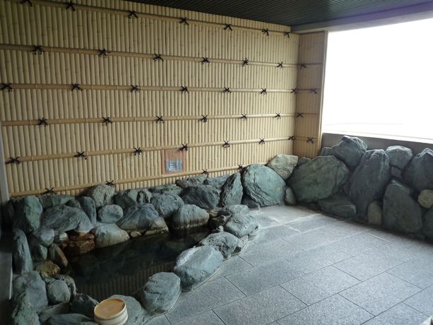 Imagen de la piscina del Hotel Mikawa Kaiyoukaku. Foto 16