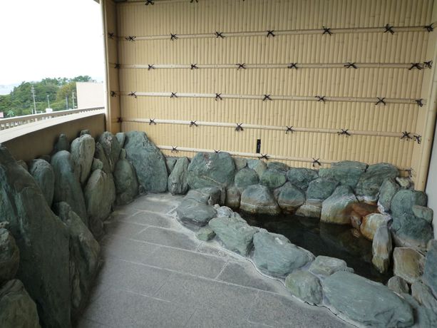 Imagen de los interiores del Hotel Mikawa Kaiyoukaku. Foto 11