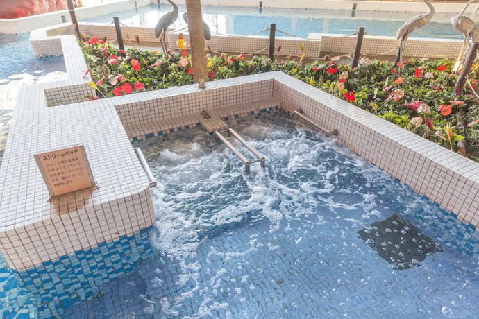 Imagen de la piscina del Hotel Mikazuki Sea-park Awa Kamogawa. Foto 13