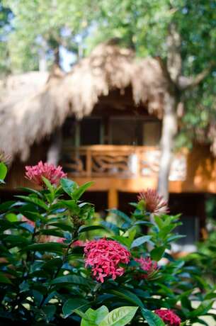 Imagen general del Hotel Mike's Dauin Beach Resort. Foto 9