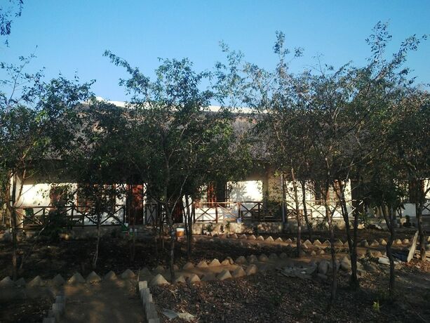 Imagen general del Hotel Mikumi Adventure Lodge. Foto 6