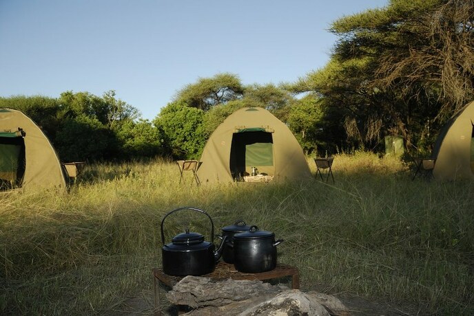 Imagen general del Hotel Mikumi Adventure Lodge. Foto 7