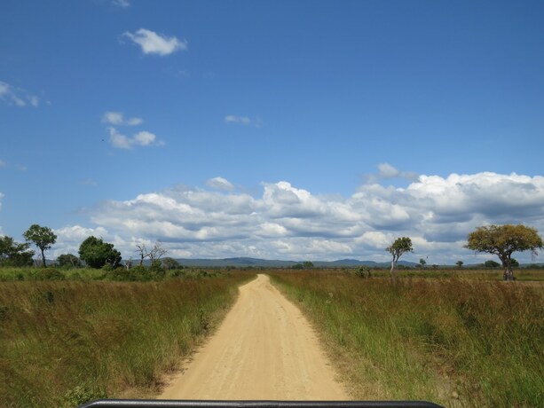 Imagen general del Hotel Mikumi Wildlife Camp. Foto 7