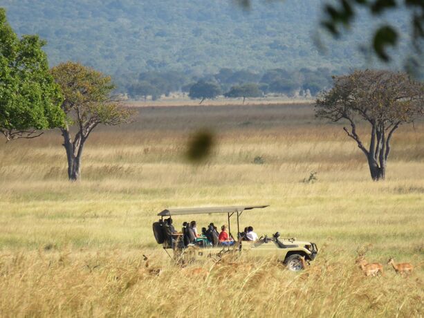 Imagen general del Hotel Mikumi Wildlife Camp. Foto 10