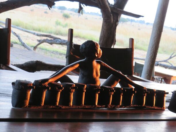 Imagen general del Hotel Mikumi Wildlife Camp. Foto 13