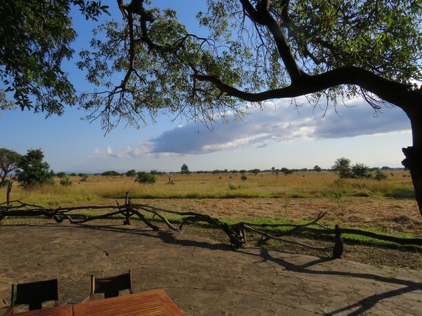 Imagen general del Hotel Mikumi Wildlife Camp. Foto 16