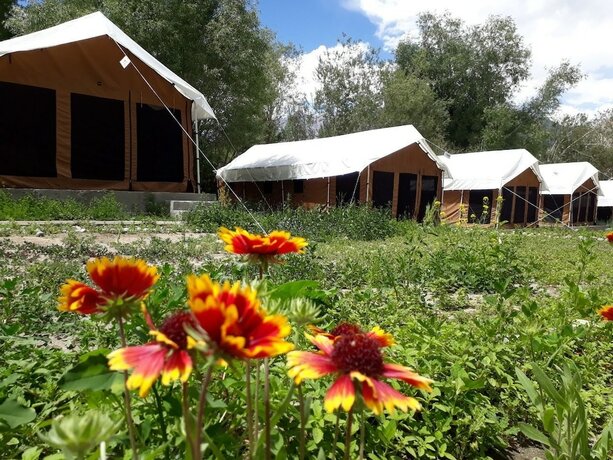 Imagen general del Hotel Mila Retreat Camp. Foto 2