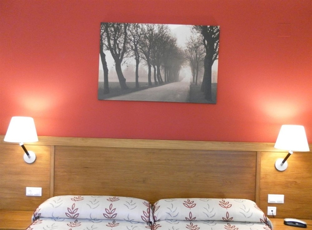 Imagen de la habitación del Hotel Milagros Rio Riaza. Foto 5