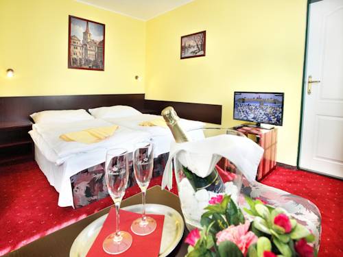 Imagen de la habitación del Hotel Milan Vopicka. Foto 10