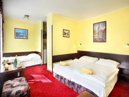 Imagen de la habitación del Hotel Milan Vopicka. Foto 11