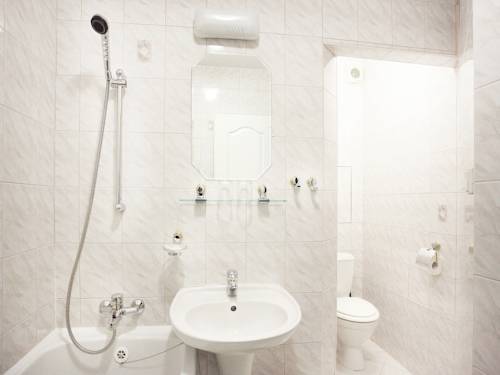 Imagen de la habitación del Hotel Milan Vopicka. Foto 13