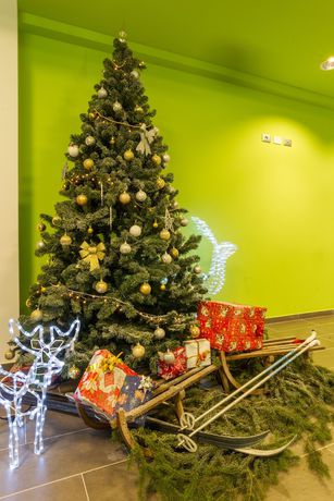 Imagen de los interiores del Hotel Milano, Fondo. Foto 15