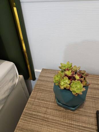 Imagen de la habitación del Hotel Milano, Hai Duong. Foto 6