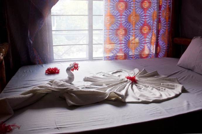Imagen de la habitación del Hotel Milele Lodge. Foto 9