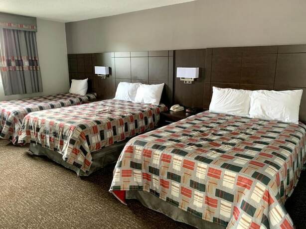Imagen de la habitación del Hotel Milestone Motel. Foto 20