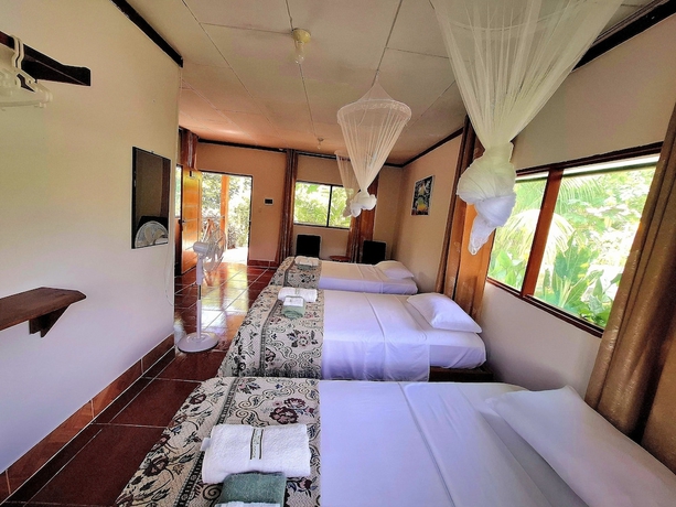 Imagen de la habitación del Hotel Milia Amazon Lodge. Foto 7