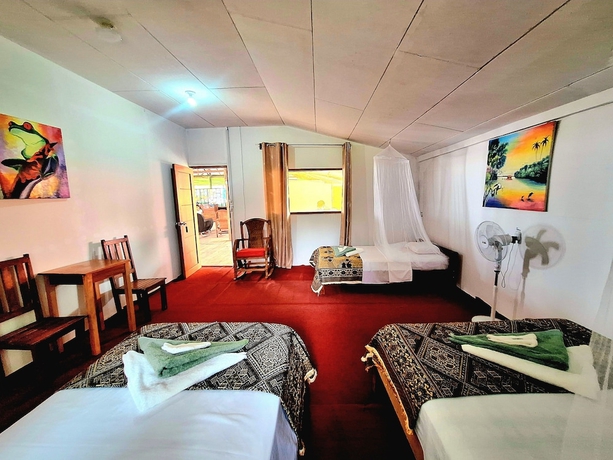 Imagen de la habitación del Hotel Milia Amazon Lodge. Foto 8