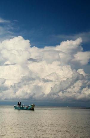 Imagen de los exteriores del Hotel Milky Bay Resort. Foto 13