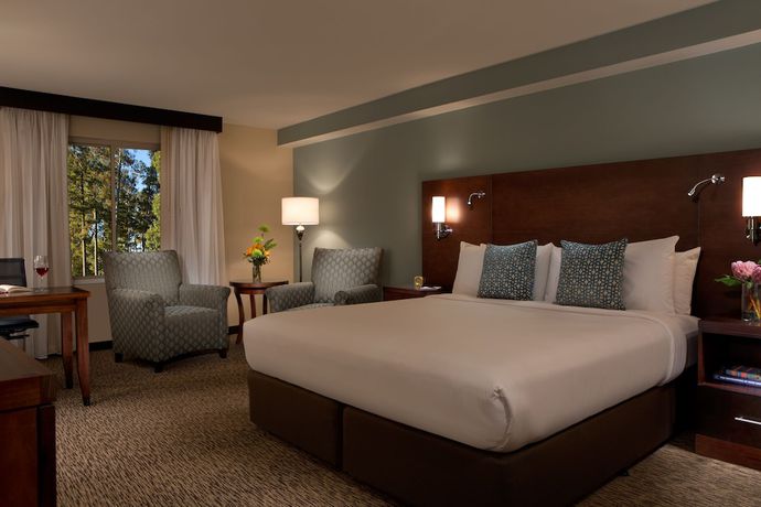 Imagen de la habitación del Hotel Millennium Durham. Foto 6