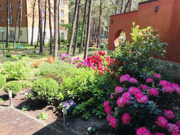 Imagen de los exteriores del Hotel Millennium Spa. Foto 15