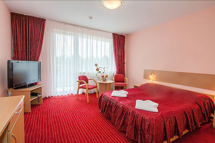 Imagen de la habitación del Hotel Millennium Spa. Foto 11