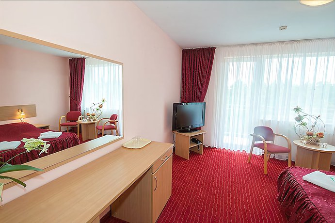 Imagen de la habitación del Hotel Millennium Spa. Foto 13