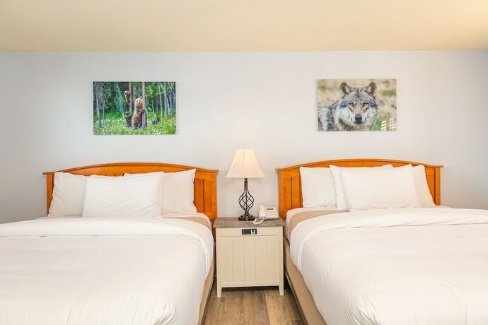 Imagen de la habitación del Hotel Miller Park Lodge. Foto 16