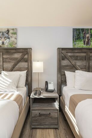 Imagen general del Hotel Miller Park Lodge. Foto 6