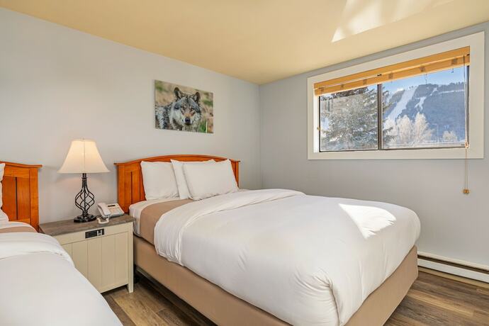 Imagen general del Hotel Miller Park Lodge. Foto 7