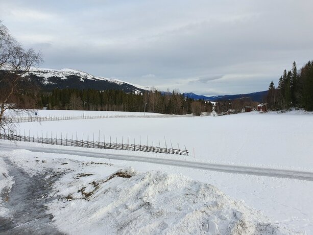 Imagen general del Hotel Millestg&aring;rden Eco Lodge. Foto 11