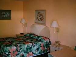 Imagen general del Hotel Milner Boston. Foto 3
