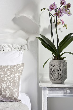 Imagen de la habitación del Hotel Milos. Foto 11