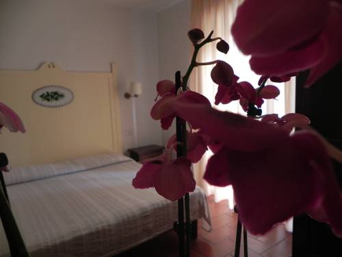 Imagen general del Hotel Milton, Marina Di Pietrasanta. Foto 1