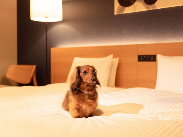 Imagen de la habitación del Hotel Mimaru Suites Tokyo Asakusa. Foto 9
