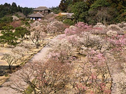 Imagen general del Hotel Mimatsu Annex. Foto 7