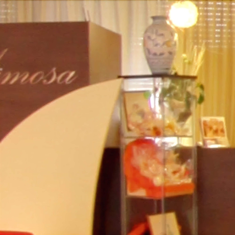 Imagen de los interiores del Hotel Mimosa, Costa de Rimini. Foto 14
