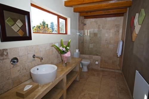 Imagen general del Hotel Mimosa Lodge. Foto 2