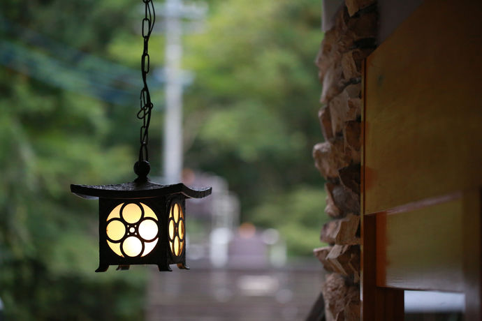 Imagen de los interiores del Hotel Minakamisanso. Foto 15