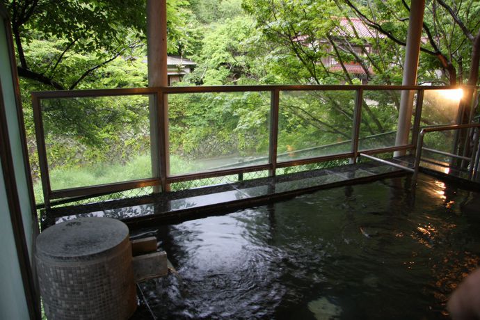 Imagen de la piscina del Hotel Minamitei. Foto 13