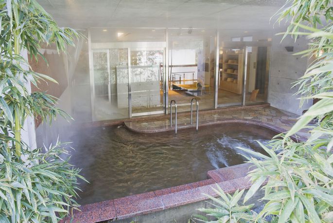 Imagen de la piscina del Hotel Minamitei. Foto 15