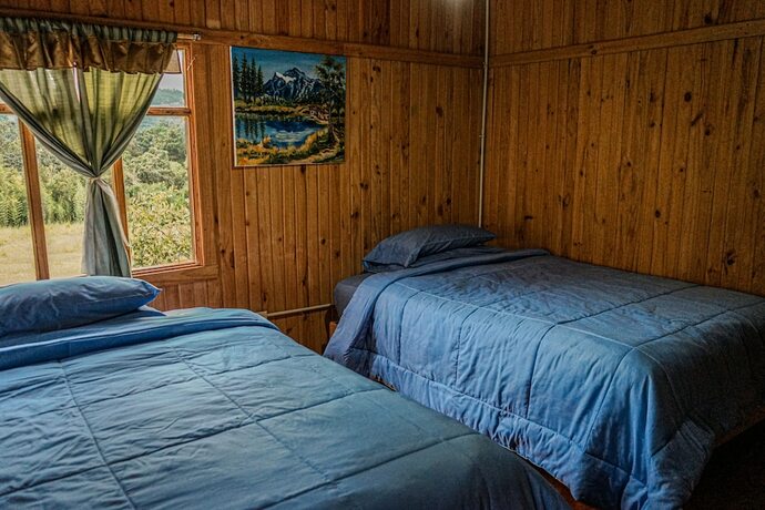 Imagen general del Hotel Mindo GlamBird Glamping andamp; Lodge. Foto 4