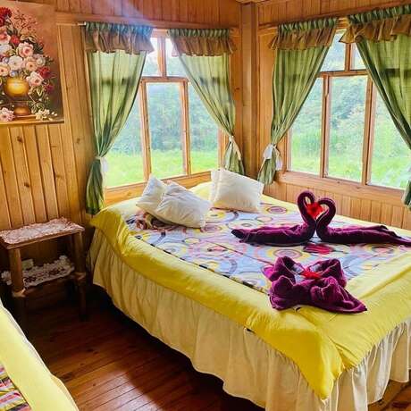 Imagen general del Hotel Mindo GlamBird Glamping andamp; Lodge. Foto 5