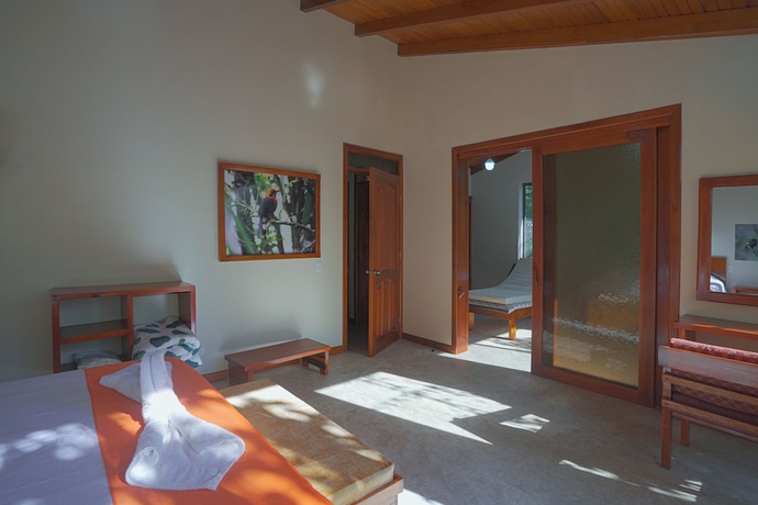 Imagen de la habitación del Hotel Mindo Magico. Foto 12
