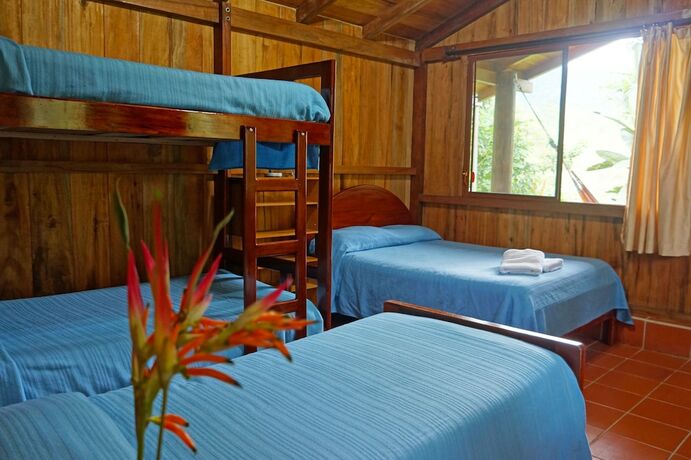 Imagen de la habitación del Hotel Mindo Real. Foto 11
