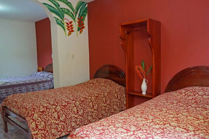 Imagen de la habitación del Hotel Mindo Real. Foto 18