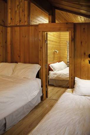 Imagen de la habitación del Hotel Mineral Springs Resort. Foto 4