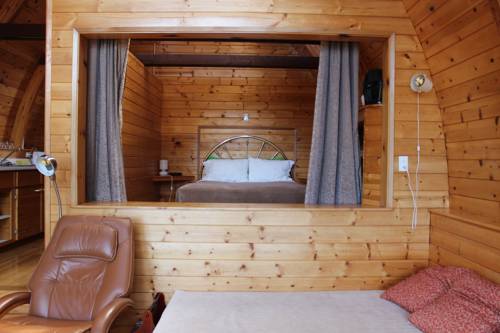 Imagen de la habitación del Hotel Mineral Springs Resort. Foto 5