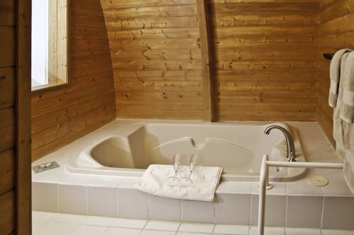 Imagen de la habitación del Hotel Mineral Springs Resort. Foto 6